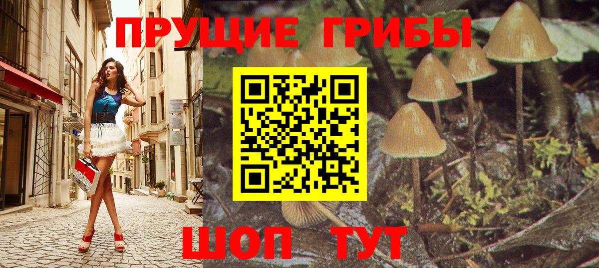 Псилоцибиновые грибы прущие грибы  Вход с VPN  Димитровград 