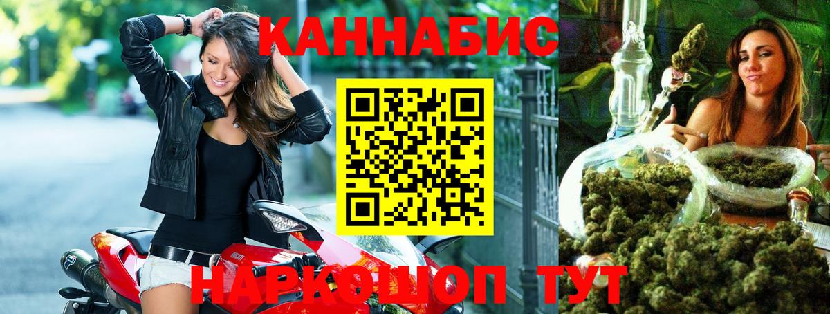 Бошки Шишки Amnesia Димитровград